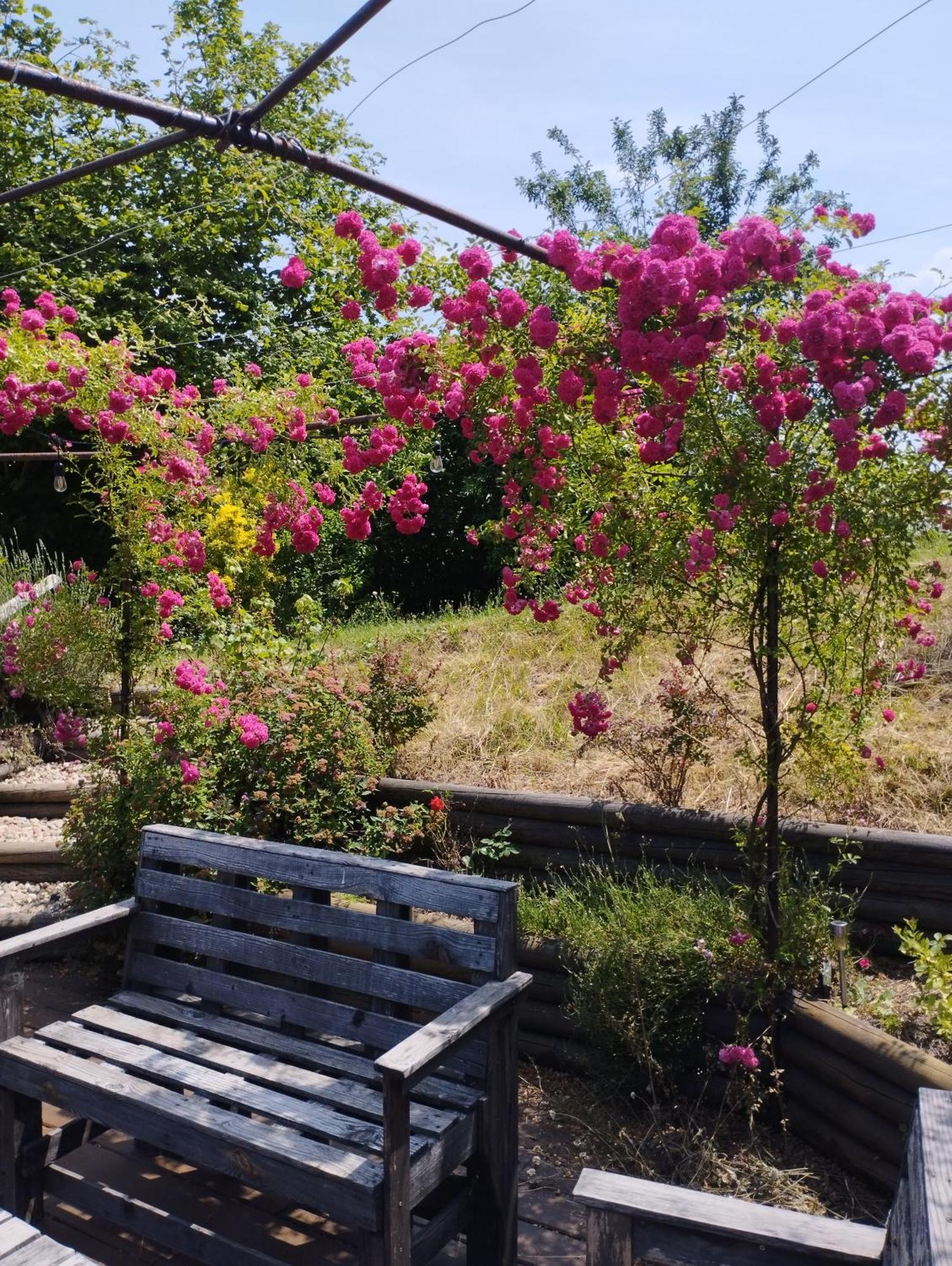 Fenetre Sur Loire Bed & Breakfast Iguerande Ngoại thất bức ảnh