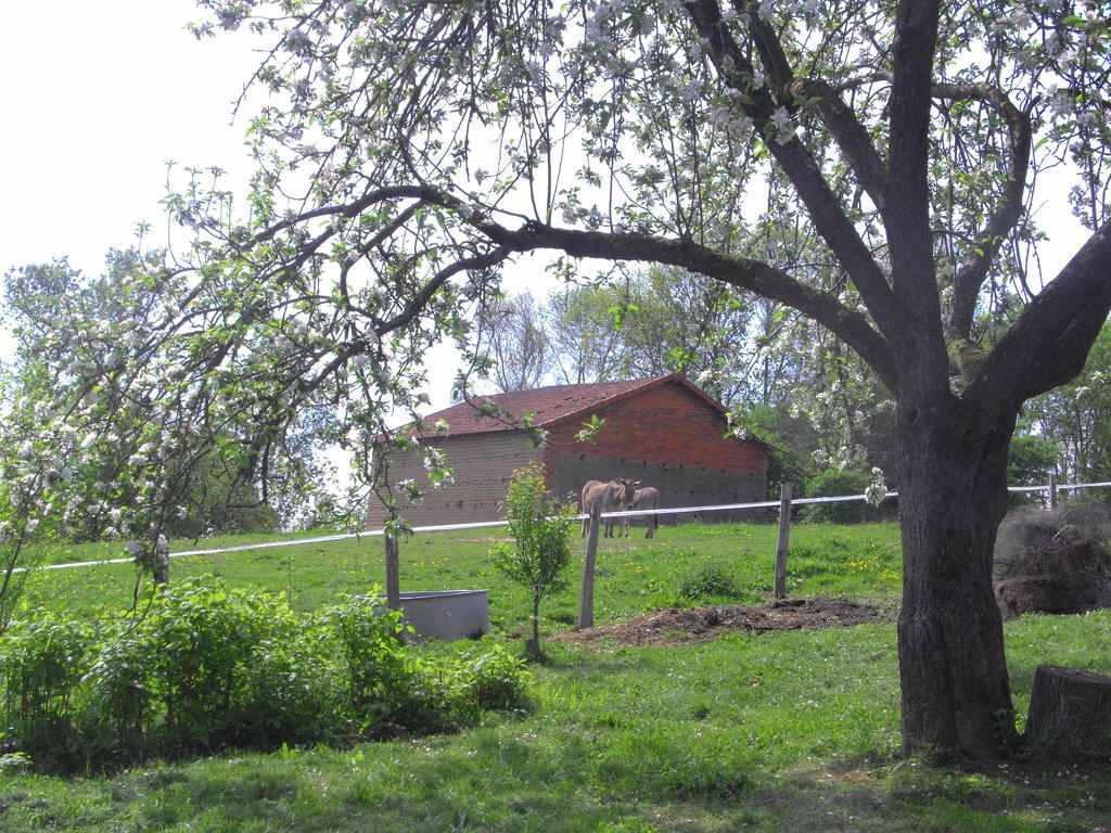 Fenetre Sur Loire Bed & Breakfast Iguerande Ngoại thất bức ảnh